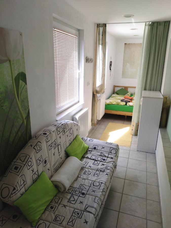 Apartma Peter1a Begunje na Gorenjskem Bagian luar foto
