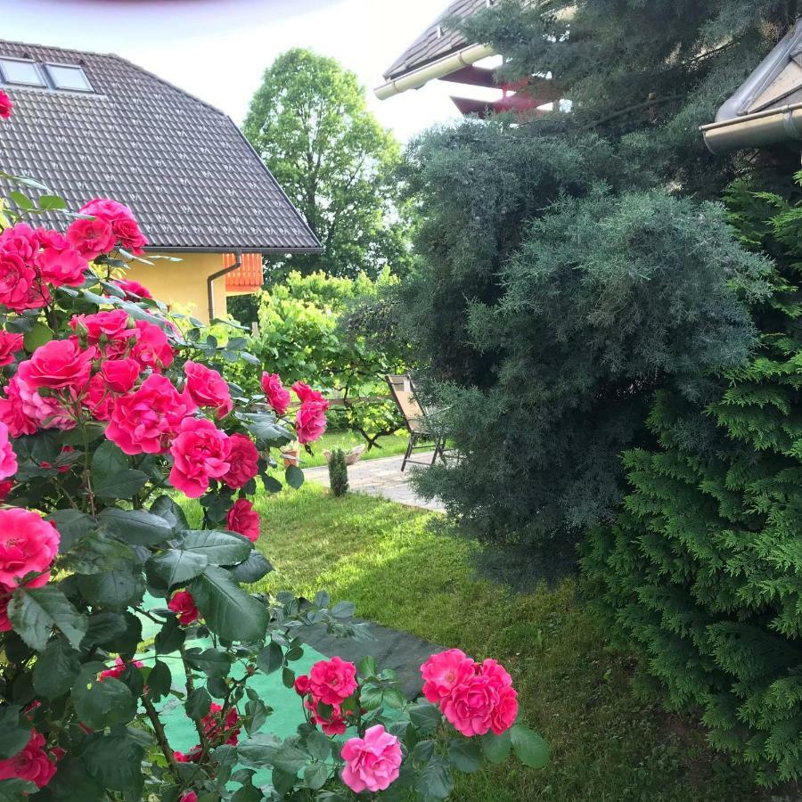 Apartma Peter1a Begunje na Gorenjskem Bagian luar foto